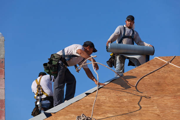 Best Roof Restoration Services  in Bluffton, OH